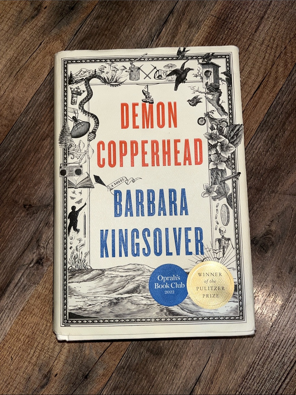 Demon copperhead hard cover book
